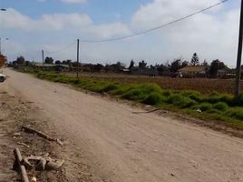  Terreno (Parcela) en venta en Colegio Alonso de Ercilla, La Serena, La Serena