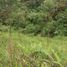  Land for sale in San Miguel De Los Bancos, Pichincha, Mindo, San Miguel De Los Bancos