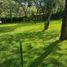  Land for sale in Tumbaco, Pichincha, Tumbaco