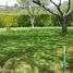 Land for sale in Tumbaco, Pichincha, Tumbaco