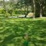  Land for sale in Tumbaco, Pichincha, Tumbaco