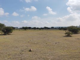  Grundstück zu verkaufen in Jilotepec, Mexico, Jilotepec