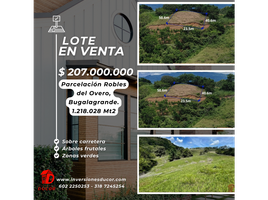  Terreno (Parcela) en venta en Bugalagrande, Valle Del Cauca, Bugalagrande