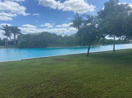  Grundstück zu verkaufen in Conkal, Yucatan, Conkal