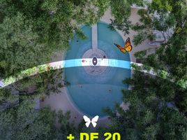  Terreno (Parcela) en venta en Cozumel, Quintana Roo, Cozumel