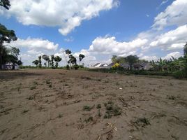  Land for sale in Prambanan, Klaten, Prambanan