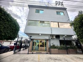 256 m² Office for rent in Tijuana, Baja California, Tijuana