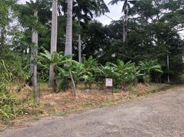  Terreno (Parcela) en venta en San Jose De Cucuta, Norte De Santander, San Jose De Cucuta