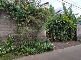  Land for sale in Ubud, Gianyar, Ubud