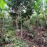  Land for sale in Ubud, Gianyar, Ubud