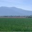 Terrain à vendre à Tequisquiapan, Queretaro, Tequisquiapan