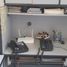 40 m² Office for rent in Mexico City, Miguel Hidalgo, Mexico City