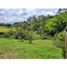  Land for sale in Marinilla, Antioquia, Marinilla