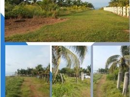  Terreno (Parcela) en venta en La Union, Guerrero, La Union