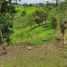  Land for sale in Santo Domingo De Los Colorados, Santo Domingo De Los Tsachilas, Santo Domingo De Los Colorados, Santo Domingo, Santo Domingo De Los Tsachilas
