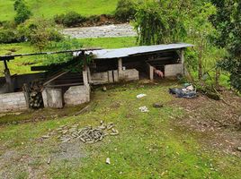  Land for sale in Santo Domingo De Los Colorados, Santo Domingo De Los Tsachilas, Santo Domingo De Los Colorados, Santo Domingo, Santo Domingo De Los Tsachilas
