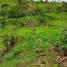  Land for sale in Santo Domingo De Los Colorados, Santo Domingo De Los Tsachilas, Santo Domingo De Los Colorados, Santo Domingo, Santo Domingo De Los Tsachilas