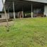  Land for sale in Santo Domingo De Los Colorados, Santo Domingo De Los Tsachilas, Santo Domingo De Los Colorados, Santo Domingo, Santo Domingo De Los Tsachilas