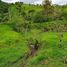  Land for sale in Santo Domingo De Los Colorados, Santo Domingo De Los Tsachilas, Santo Domingo De Los Colorados, Santo Domingo, Santo Domingo De Los Tsachilas