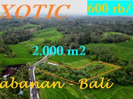  Land for sale in Selemadeg, Tabanan, Selemadeg