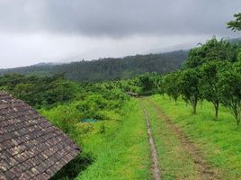  Tanah for sale in Malang Regency, East Jawa, Batu, Malang Regency