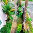  House for sale in Quezon City, Metro Manila, Quezon City, Eastern District