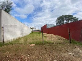 在Coatepec, Veracruz出售的 土地, Coatepec
