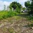 3 Habitación Villa en venta en Ngaglik, Yogyakarta, Ngaglik, Sleman