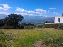  Terreno (Parcela) en venta en Nayon, Quito, Nayon