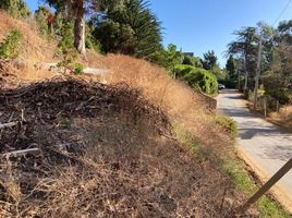  Terreno (Parcela) en venta en Valparaíso, Puchuncavi, Valparaíso, Valparaíso