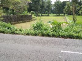  Land for sale in Ngemplak, Sleman, Ngemplak