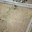  토지을(를) Nogales, Quillota에서 판매합니다., Nogales