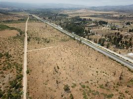  토지을(를) Nogales, Quillota에서 판매합니다., Nogales