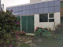 1 Schlafzimmer Wohnung zu vermieten in Toluca, Mexico, Toluca