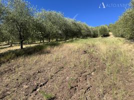  Terreno (Parcela) en venta en Chile, Maule, Talca, Maule, Chile