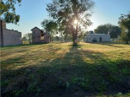  Terrain for sale in Libertad, Chaco, Libertad