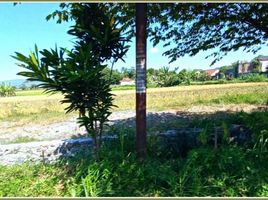  Land for sale in Prambanan, Klaten, Prambanan