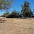  Terreno (Parcela) en venta en Santiago, Buin, Maipo, Santiago