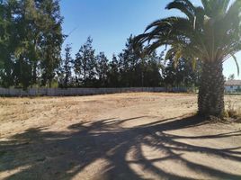  Terreno (Parcela) en venta en Santiago, Buin, Maipo, Santiago