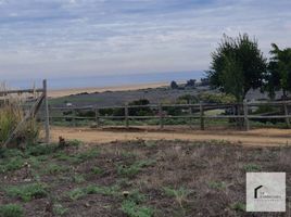  Terreno (Parcela) en venta en Valparaíso, Algarrobo, San Antonio, Valparaíso