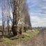  Land for sale in Chile, Teno, Curico, Maule, Chile