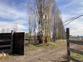 Land for sale in Chile, Teno, Curico, Maule, Chile