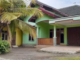 5 Schlafzimmer Haus zu verkaufen in Bantul, Yogyakarta, Pajangan