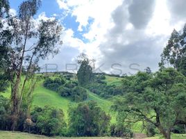  Terreno (Parcela) en venta en Tabio, Cundinamarca, Tabio