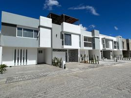  Terreno (Parcela) en venta en San Andres Cholula, Puebla, San Andres Cholula, Puebla