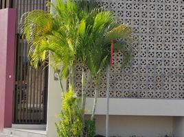 110 m² Office for rent in FazWaz.de, Merida, Yucatan, Mexiko