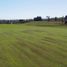  Terreno (Parcela) en venta en Chile, Frutillar, Llanquihue, Los Lagos, Chile