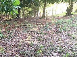  Land for sale in Turbaco, Bolivar, Turbaco