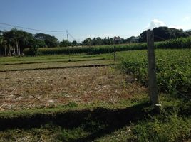  Land for sale in Bacnotan, La Union, Bacnotan