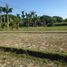  Land for sale in Ilocos, Bacnotan, La Union, Ilocos